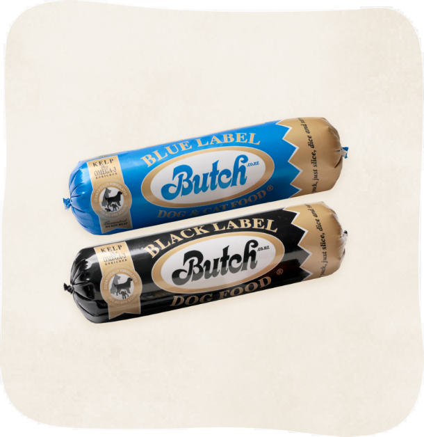 お魚好きセット