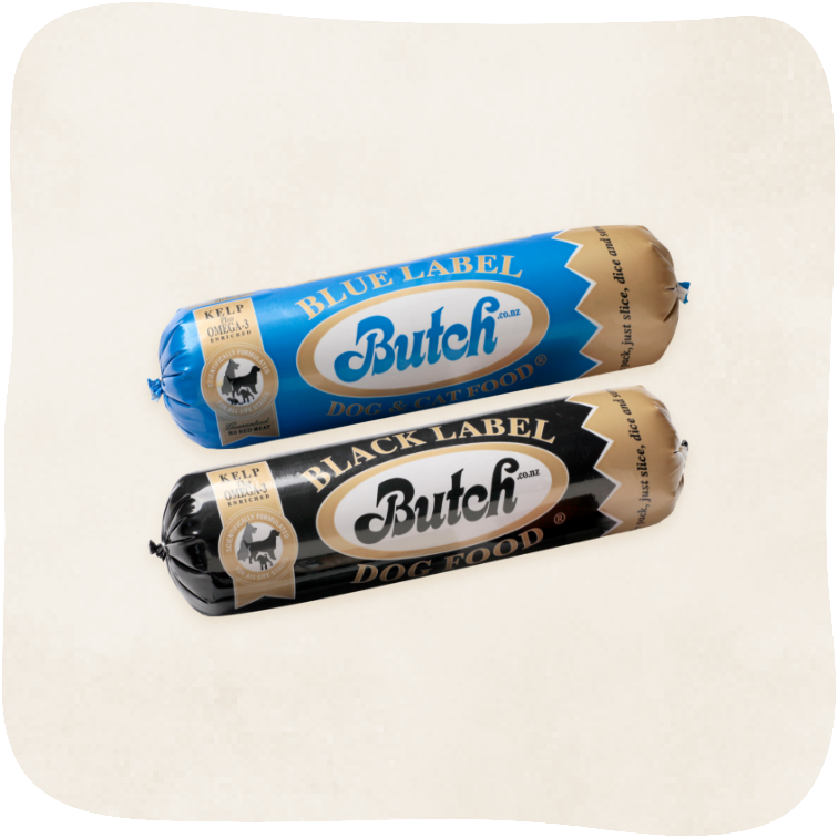 お魚好きセット