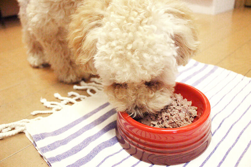 ブッチを食べるるー君