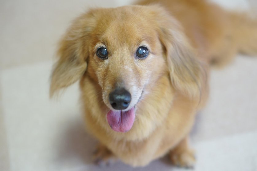 swallowing function02