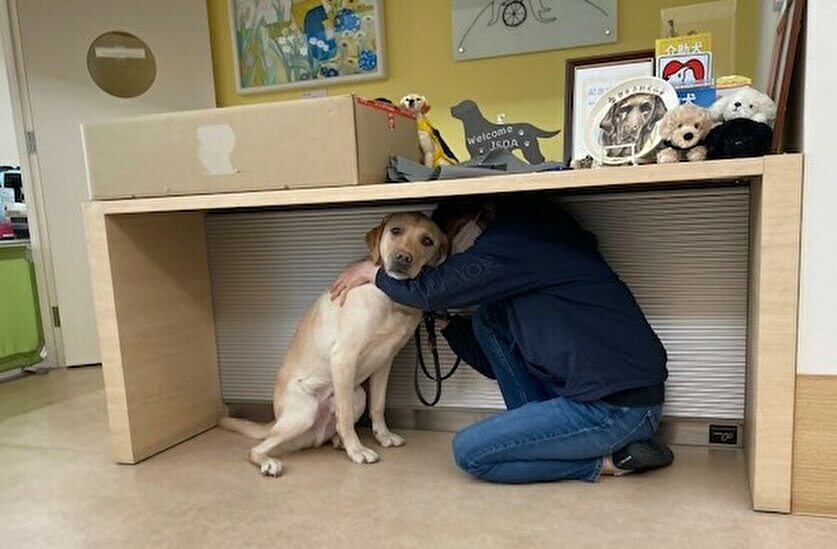 mFaBhwcb9fDQ3qv1640077297_1640077303