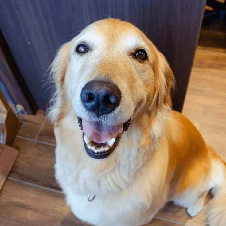 スクリーンショット 2023-11-15 181850