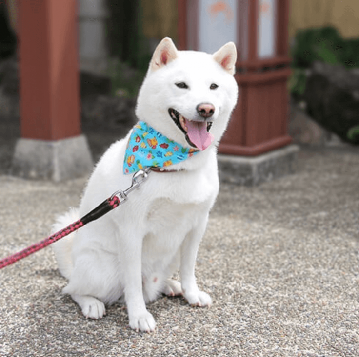 スクリーンショット 2023-11-15 182207