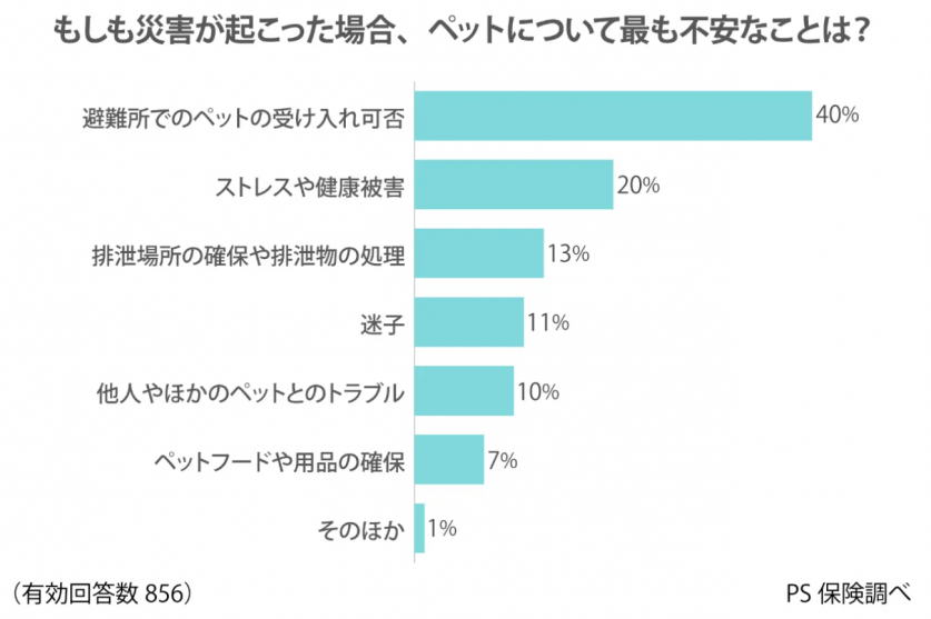 スクリーンショット 2024-03-29 175135