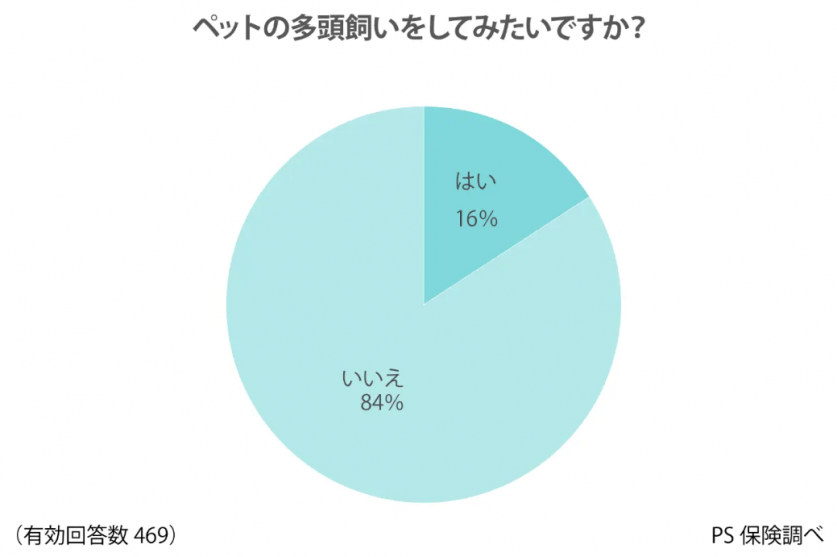スクリーンショット 2024-05-16 220121