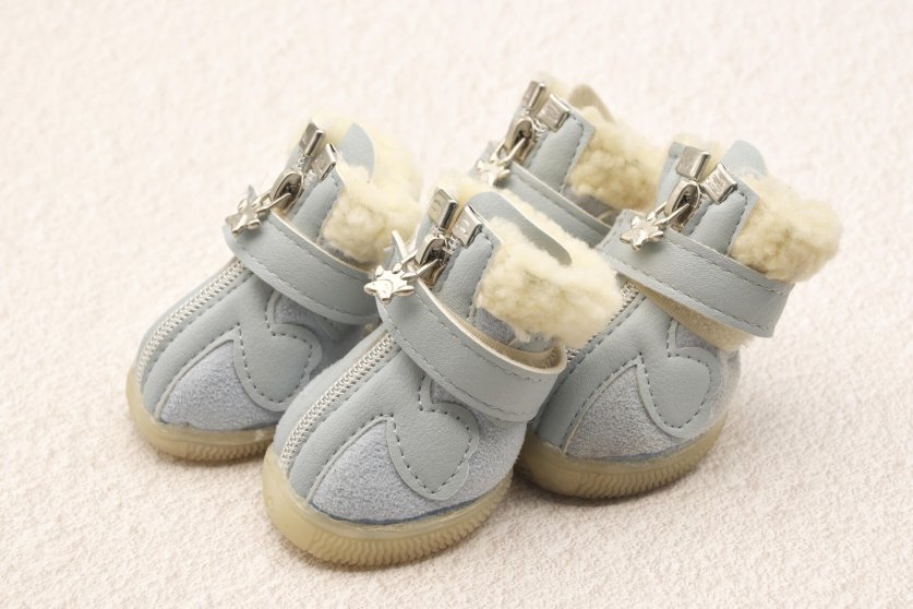 dog_shoes02