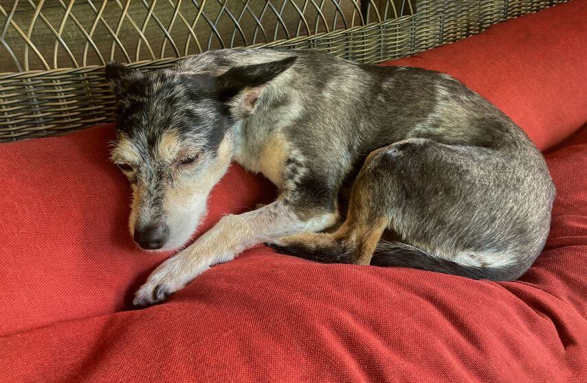 robin-jonathan-deutsch-V7BCd3KvO-k-unsplash