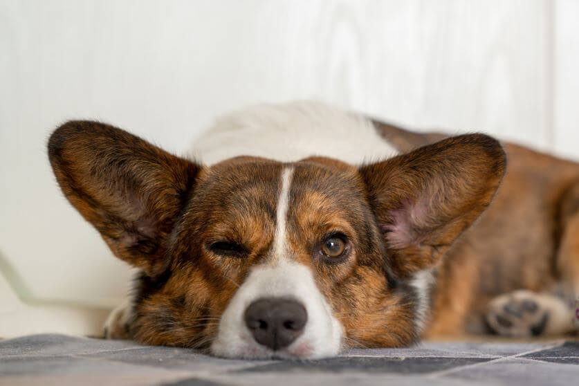 AdobeStock_991797346