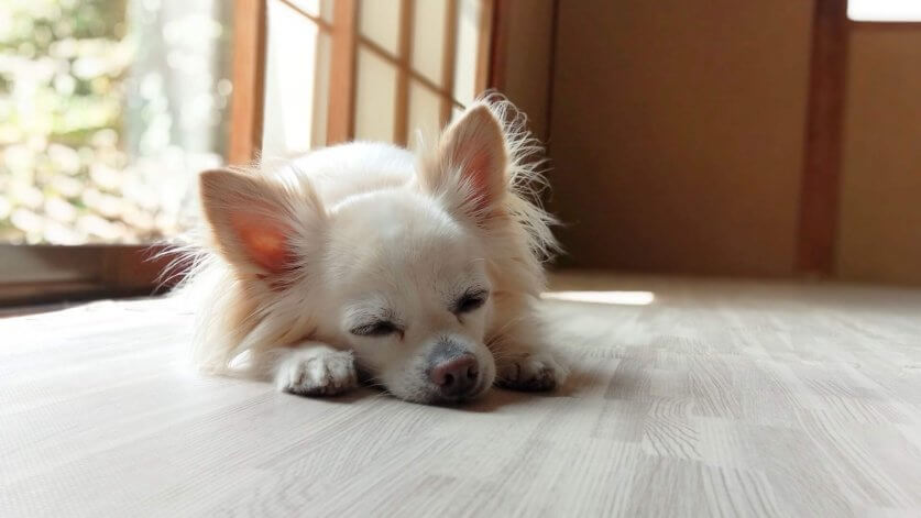 4094813_m-e1719197170936