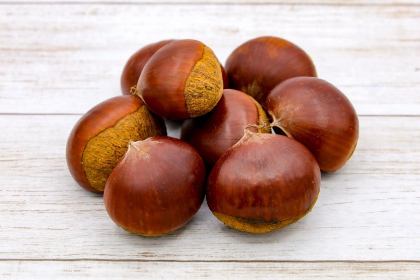 chestnut01
