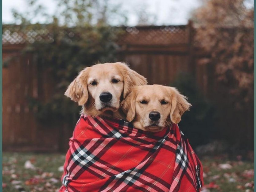 weight_loss_winter03