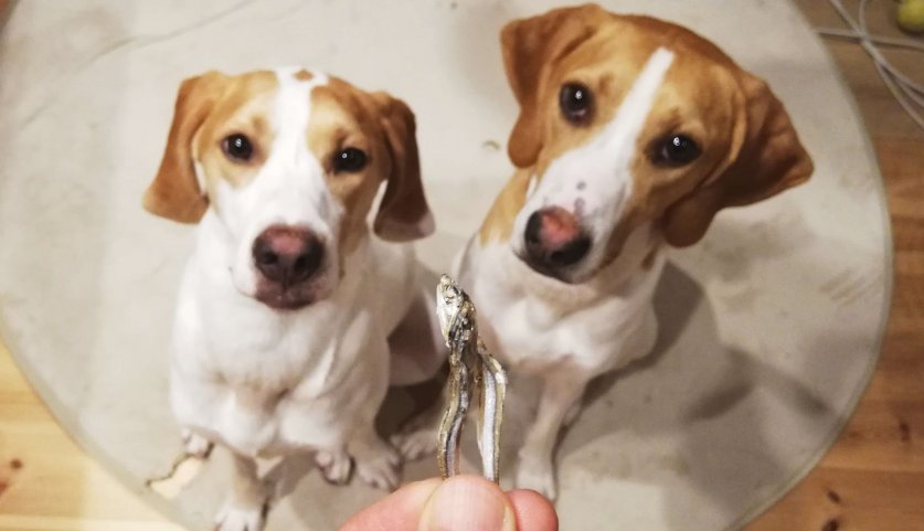 AdobeStock_450609620