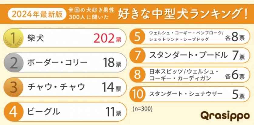 スクリーンショット 2024-11-06 11.13.45