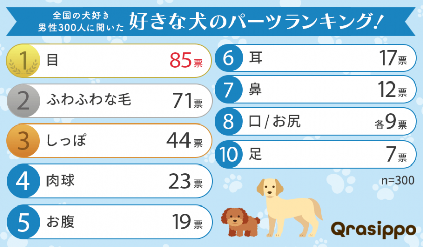 ランキング-99